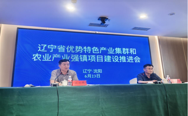 赌网