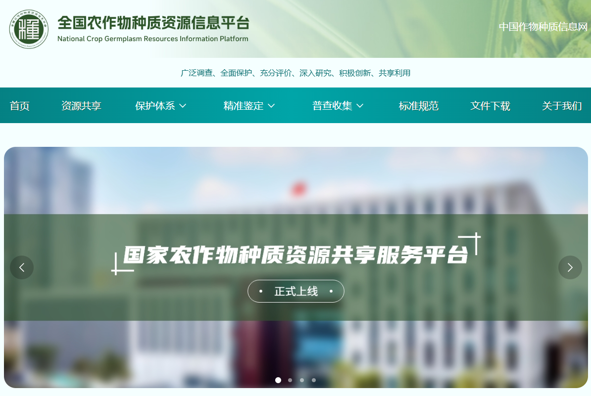 赌网