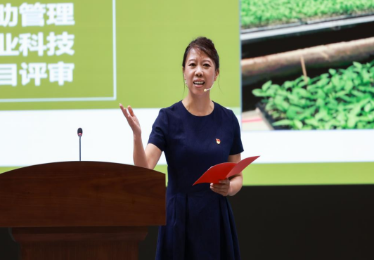赌网