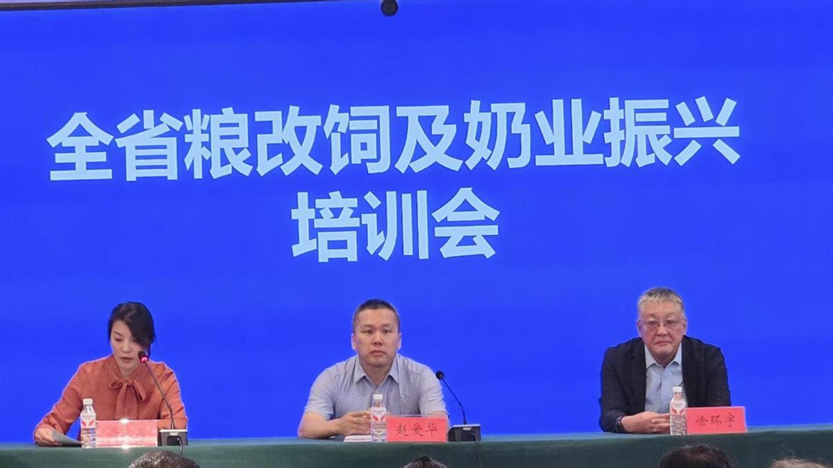 赌网
