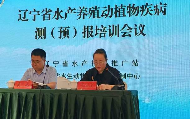 赌网