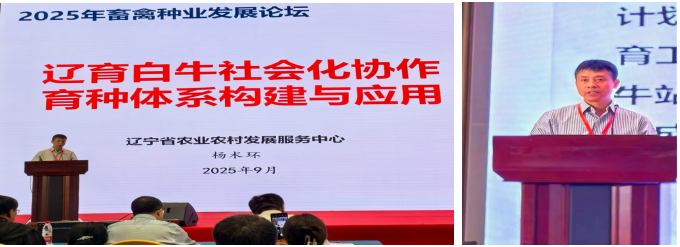 赌网