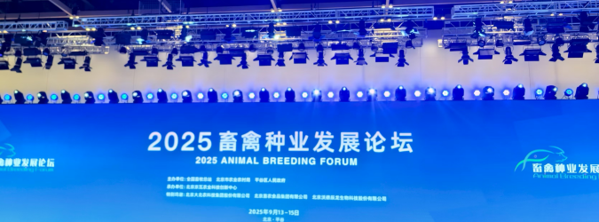 赌网
