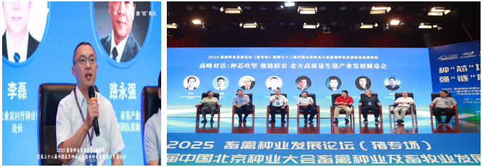 赌网