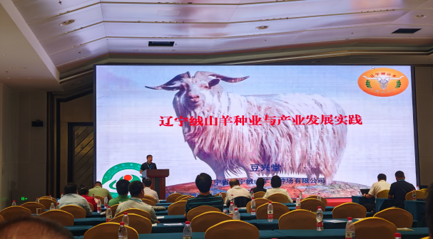 赌网