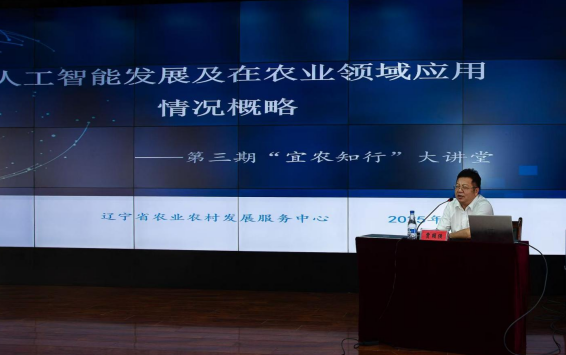 赌网