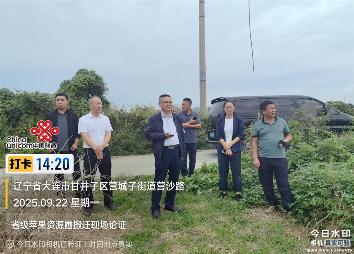 赌网