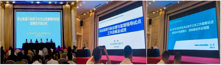 赌网