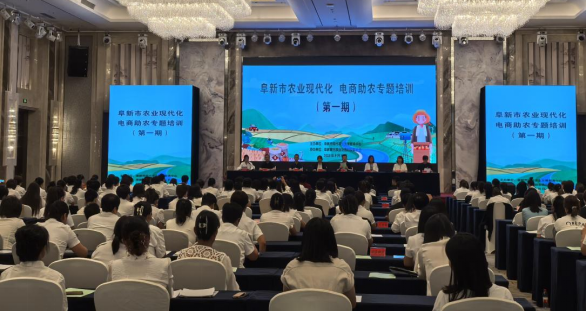 赌网