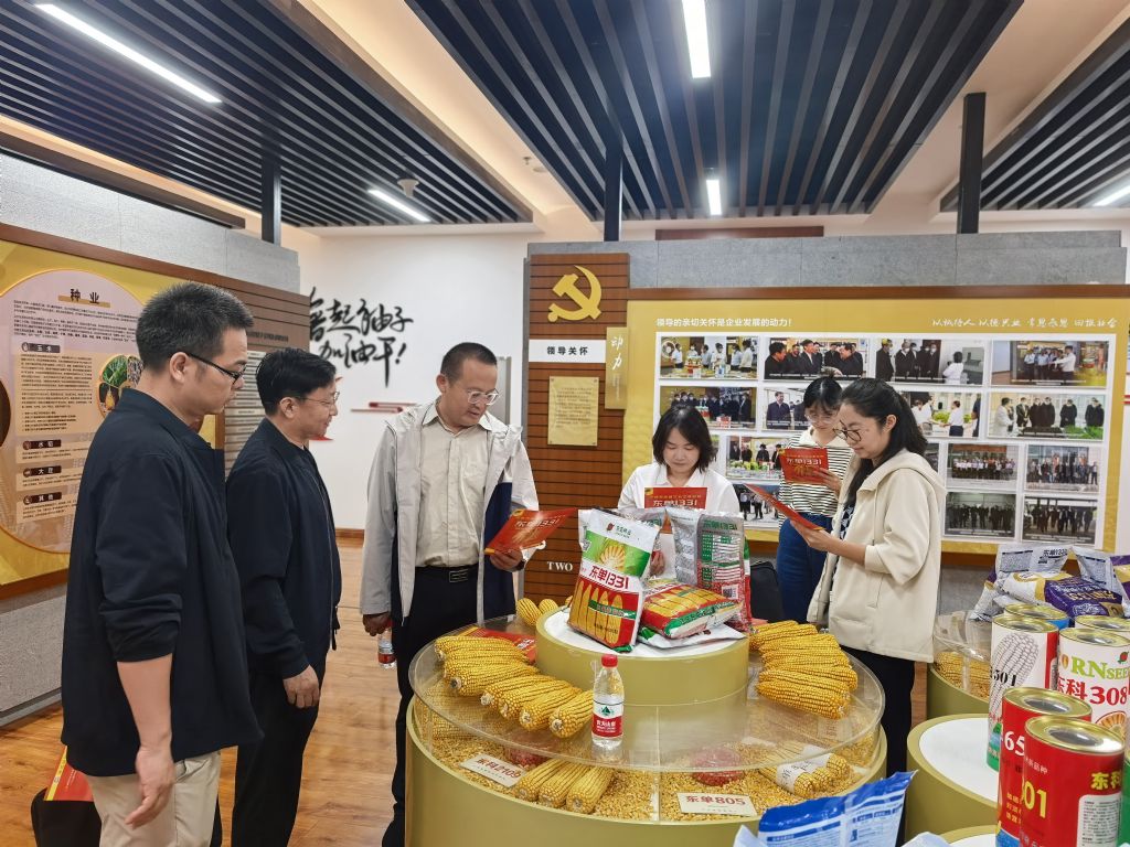 赌网