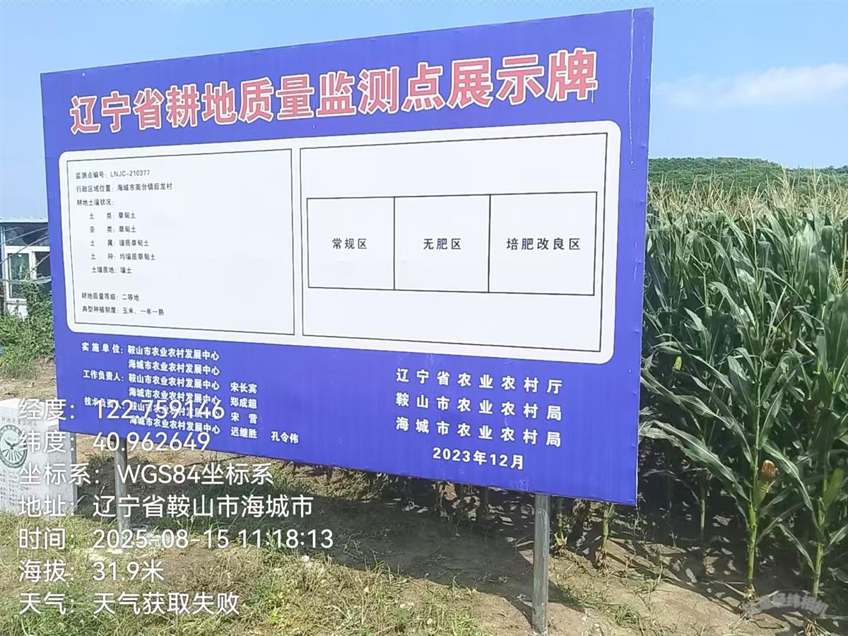 赌网