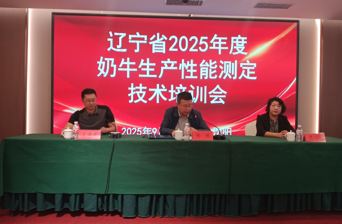 赌网