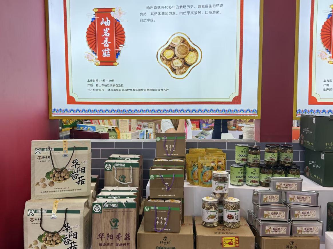 赌网