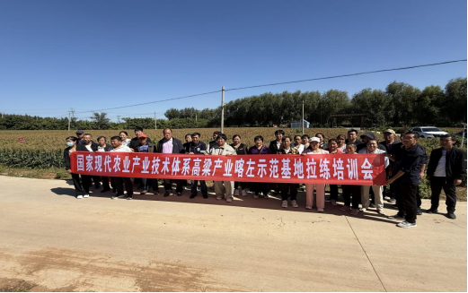赌网