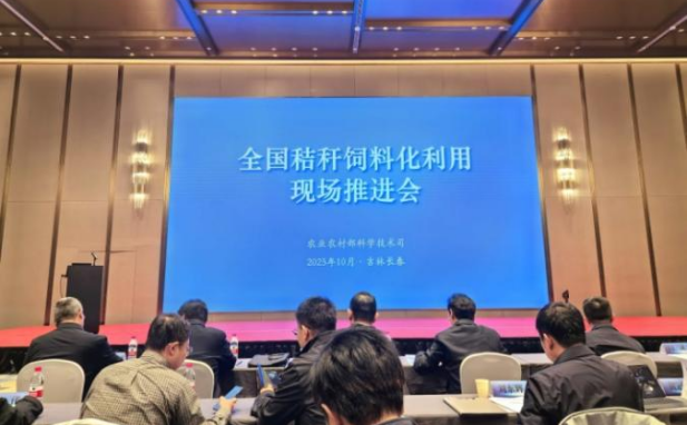 赌网