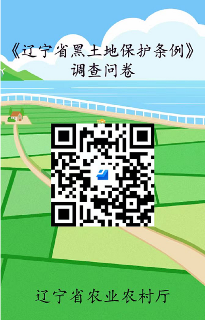 赌网