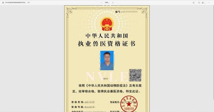 赌网