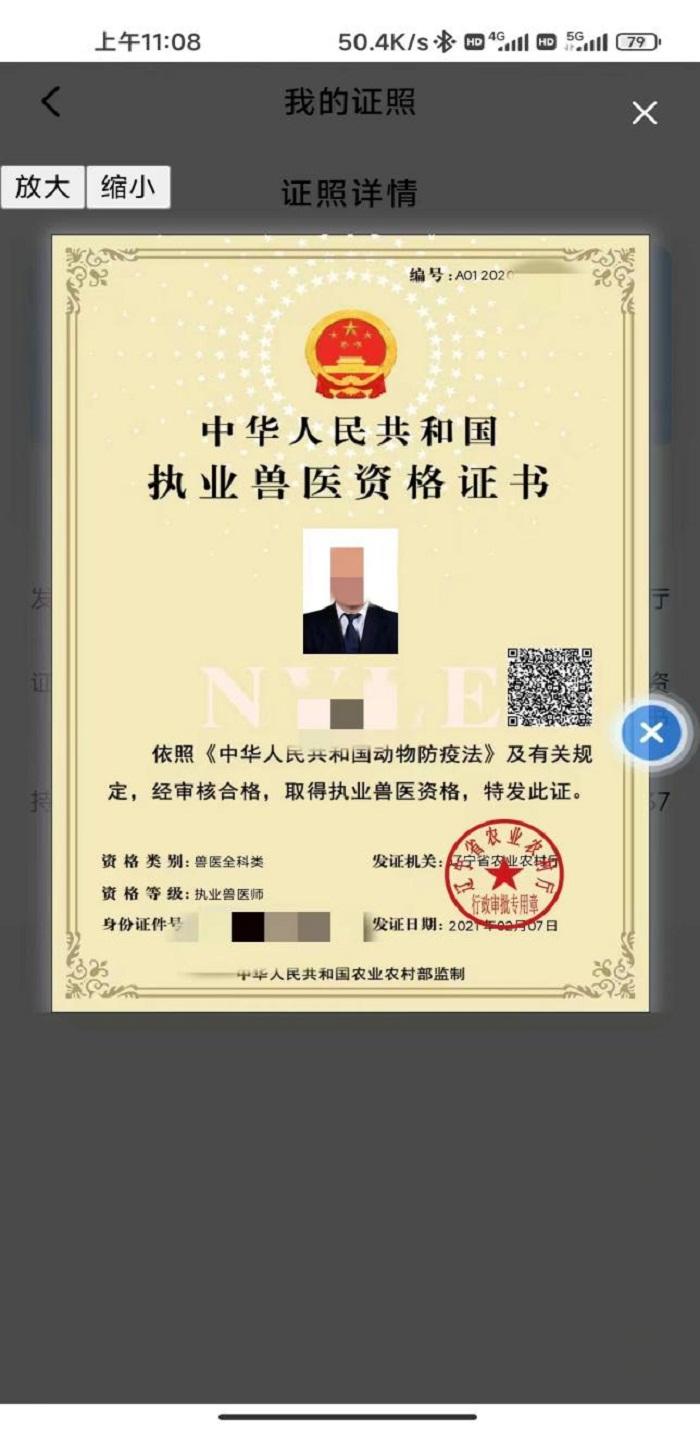 赌网