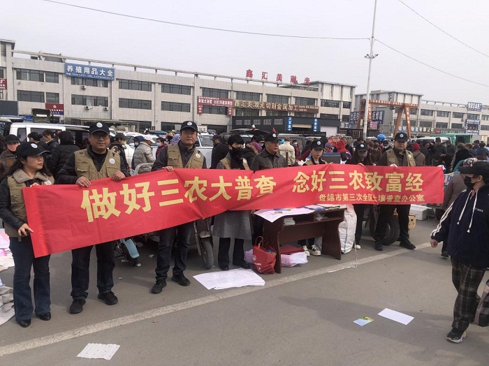 赌网