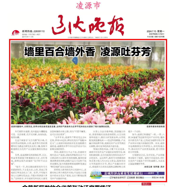 赌网
