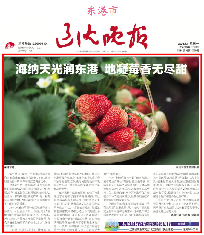 赌网