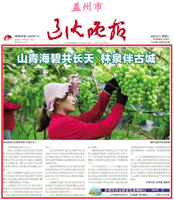 赌网