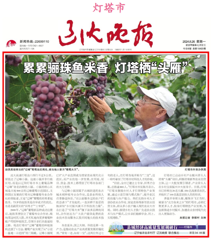 赌网