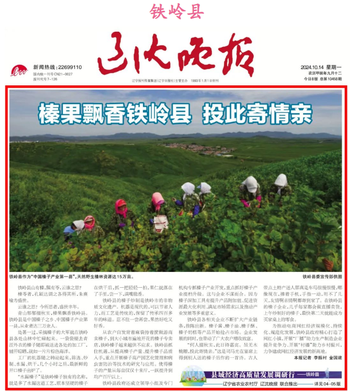 赌网
