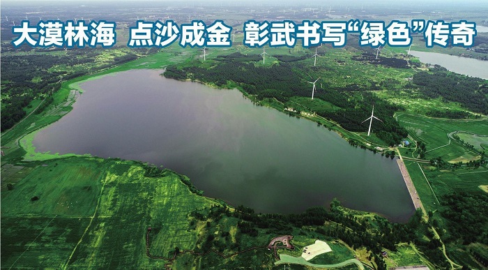 赌网
