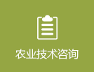赌网
