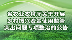 赌网
